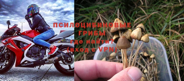мдпв Верея