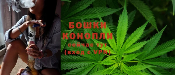 apvp Володарск