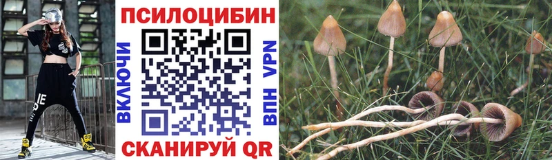даркнет сайт  Катав-Ивановск  Галлюциногенные грибы MAGIC MUSHROOMS 