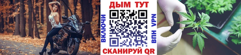 MEGA ONION  Катав-Ивановск  Шишки марихуана гибрид 